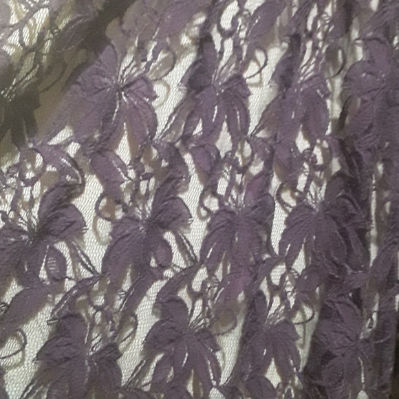 Lace Dress with Cream Slip - Picture 2 of 8